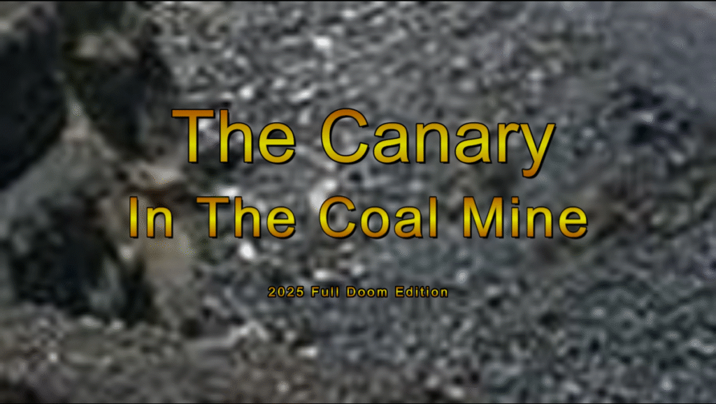 Canary in the Coal Mine: 2025 Full Doom Edition